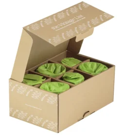 1 stk | Fern Tumbler