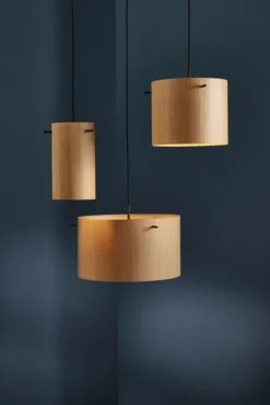 FM 1954 Pendel -Ø16