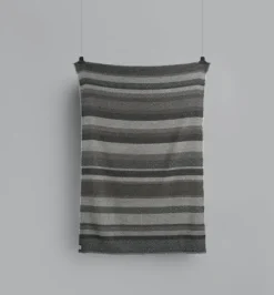 FRI – Gray Day pledd