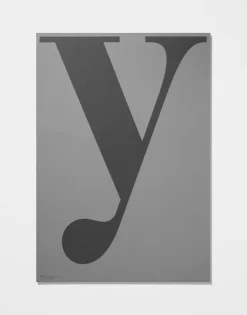 Grey Poster – Y