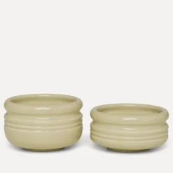 Legacy Boller mini, pistachio -2pk