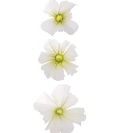 Leia veggblomster -3pk