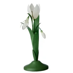 Lysestake – Snowdrop Ivy