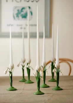 Lysestake – Snowdrop Ivy