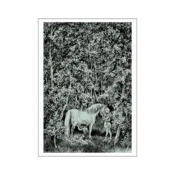 Poster -A Special Bond, Ronja Røverdatter