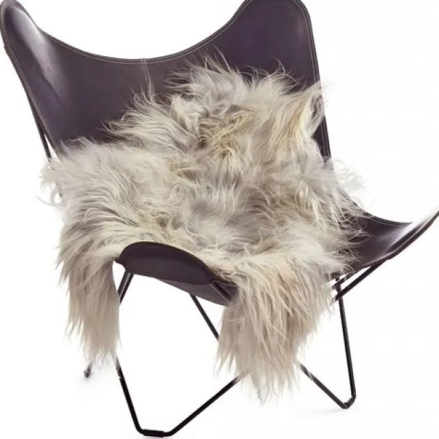 Saueskinn – Iceland