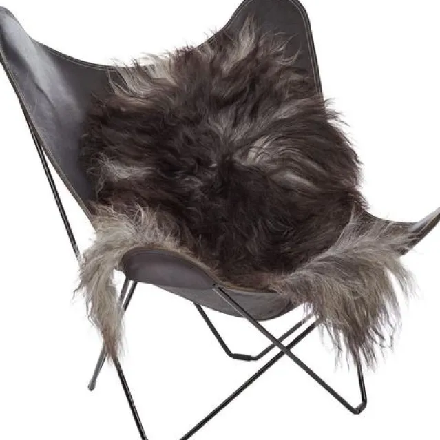 Saueskinn – Iceland