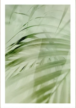 Serene Leaf -50×70 m/eikeramme