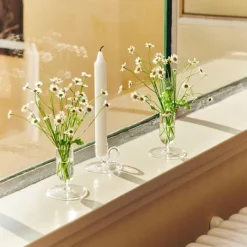 Tiny Curved-Lysestake